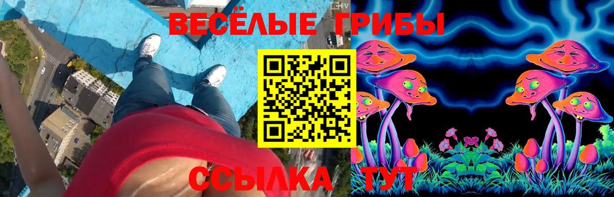 где продают   Вход с VPN  Дзержинский  Галлюциногенные грибы Psilocybe 