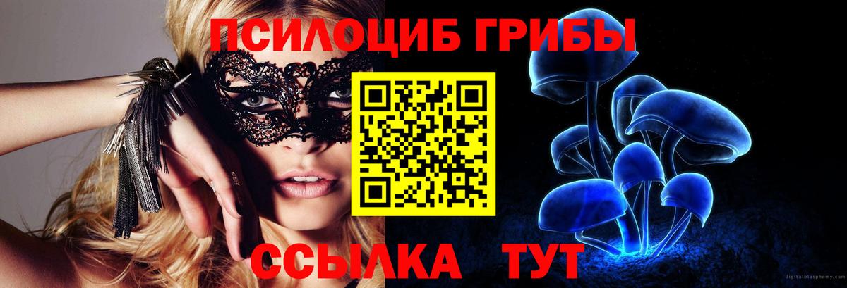 Галлюциногенные грибы Psilocybine cubensis Дзержинский